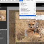 Overlay tool