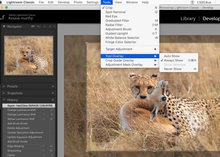 Overlay tool