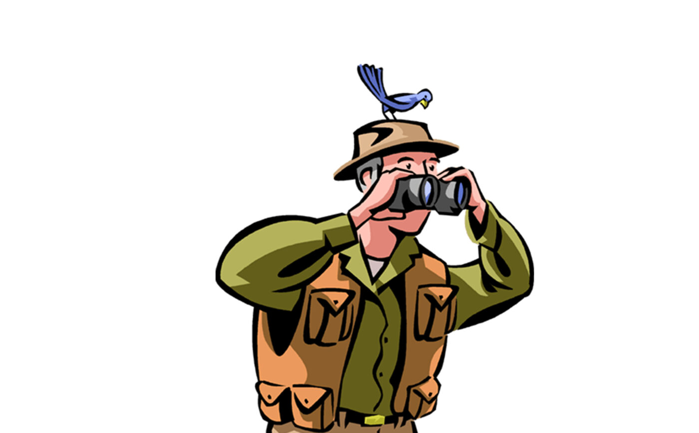 Man watching birds