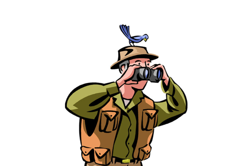 Man watching birds